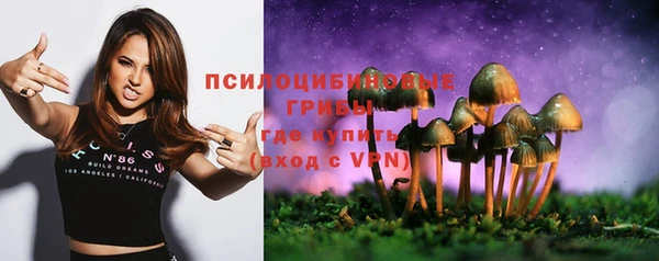 mdpv Алексин