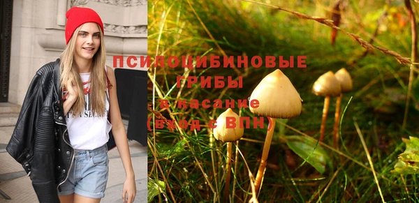 mdpv Алексин