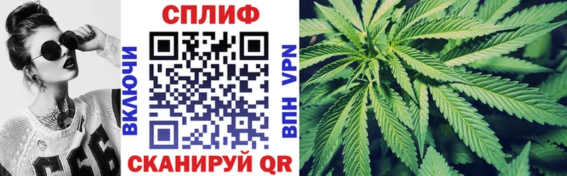закладка  Краснознаменск  Конопля Ganja 